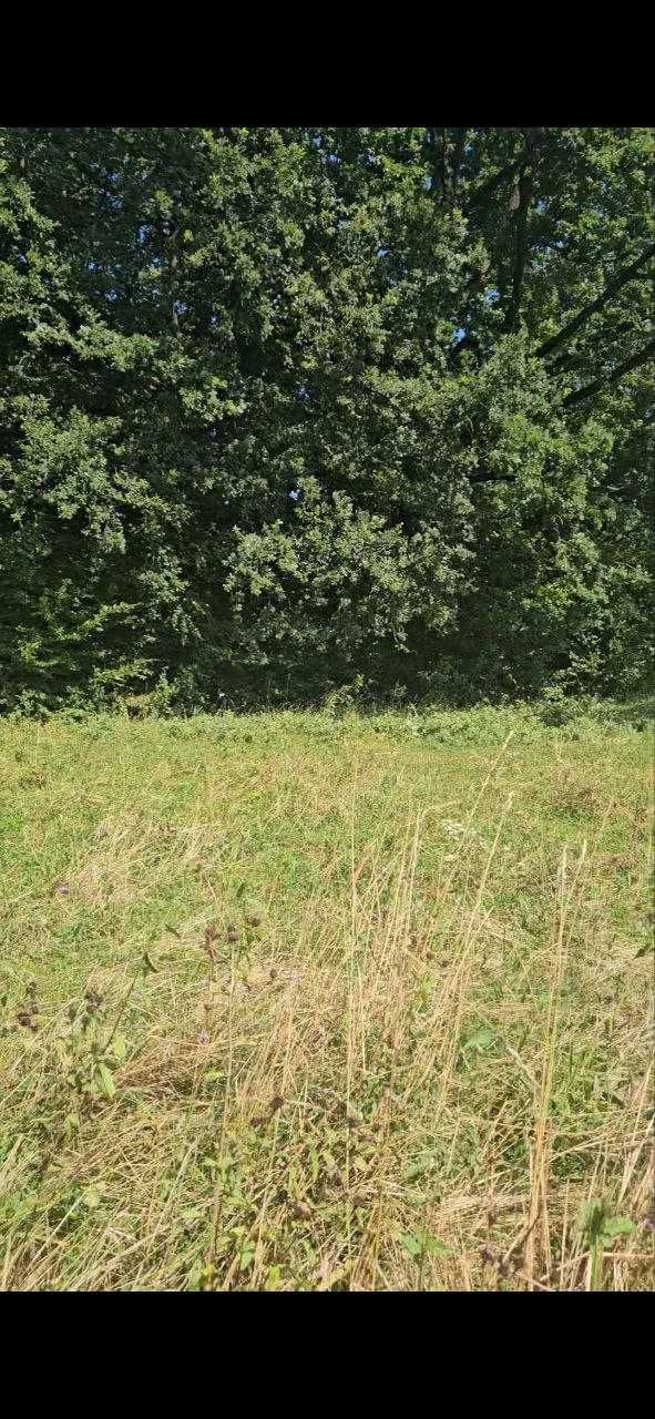 Земельні ділянки 1.87га в с.Стопчатів Косівський район