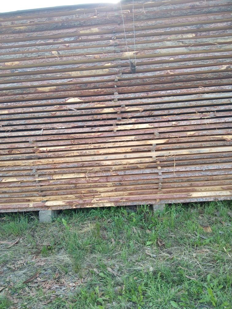 Deski, tarcica modrzewiowa