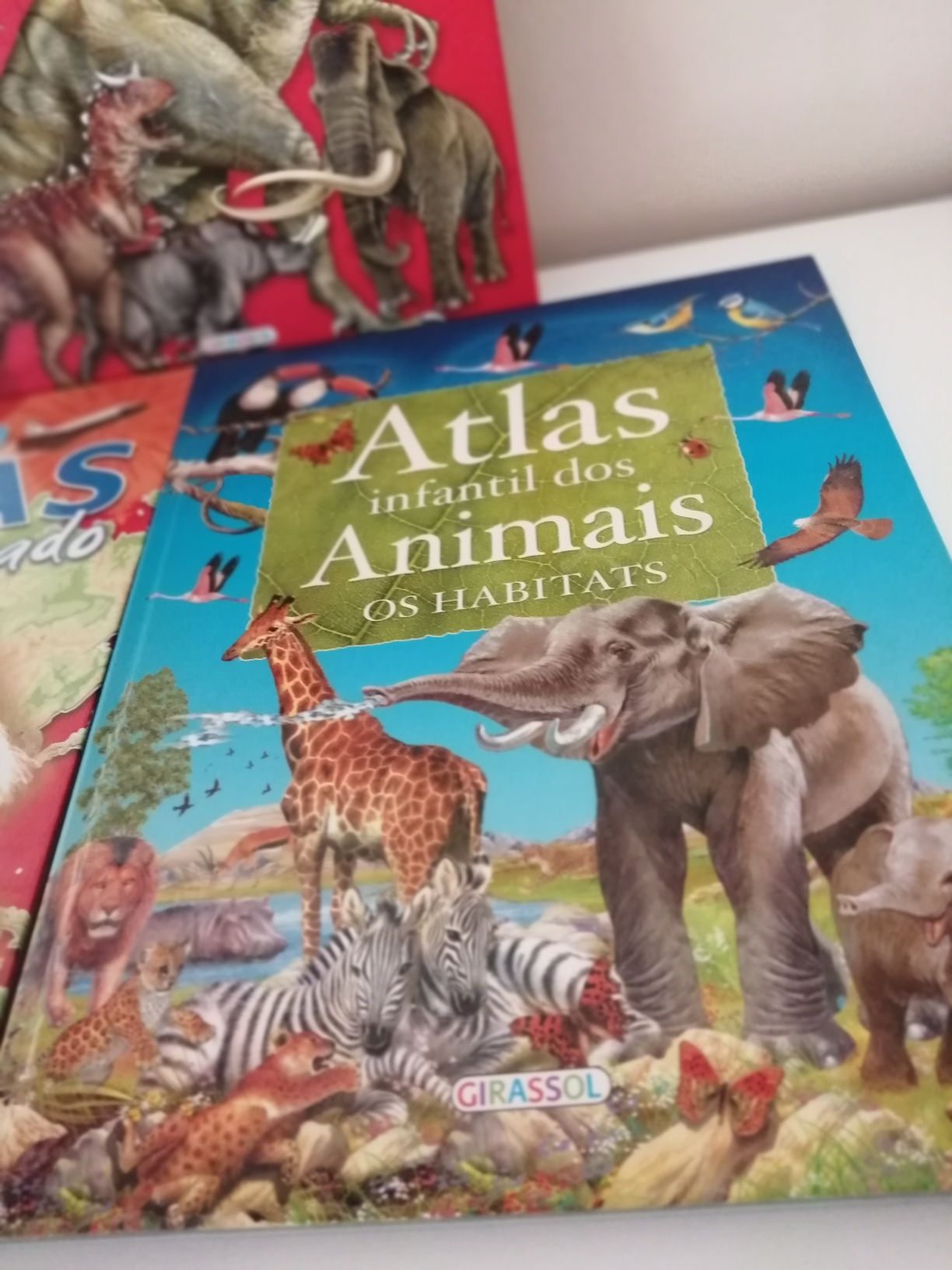 Livros Atlas infantil