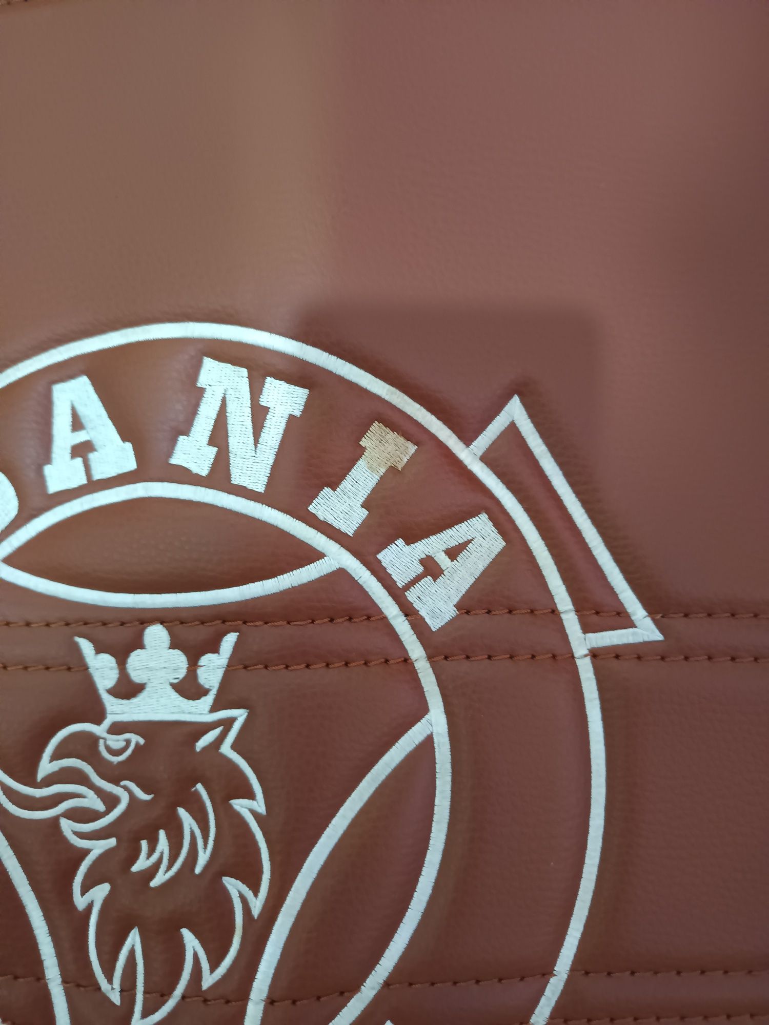 Tapetes Scania R