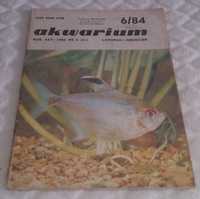 Akwarium 1984 Nr 6 (84) (Książka)