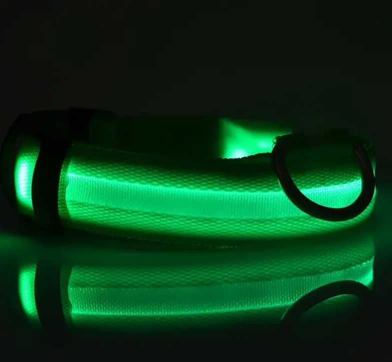 Świecąca Obroża dla Psa LED - ZIELONY L