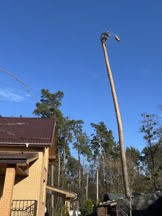 Видалення аварійних дерев|Спил частинами|Кронування|Подрібнення гілок