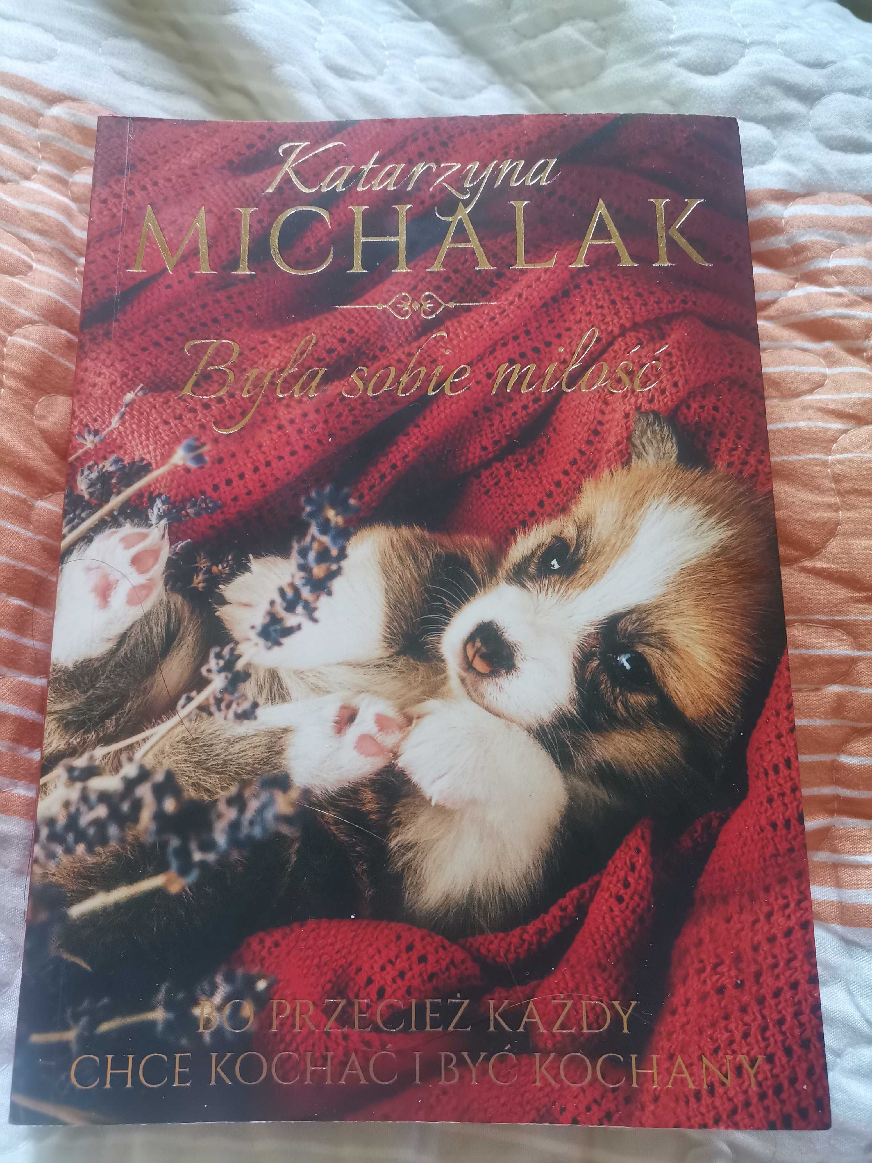 Książka Michalak Katarzyna Była sobie miłość