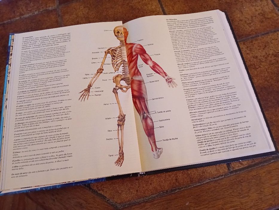 O Corpo Humano, Dicionário Básico das Ciências Médicas, Revista Visão