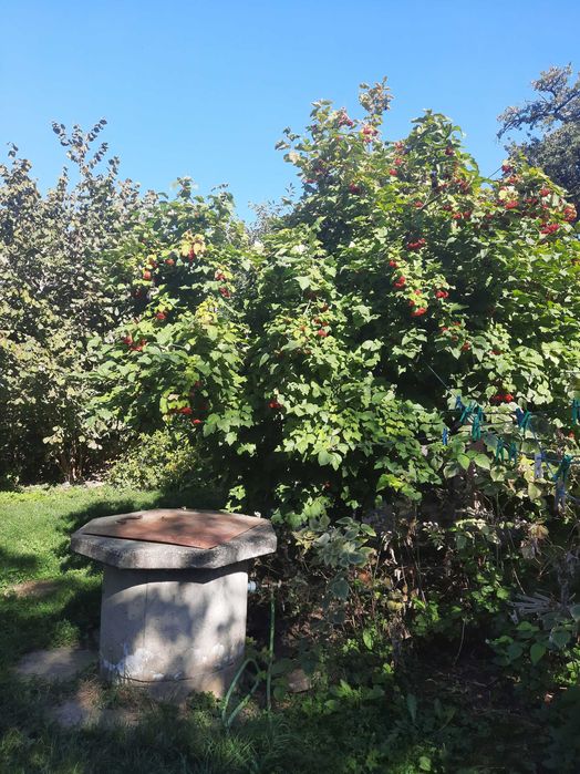 Продаж частини будинку з окремим двором,землею та зручностями.