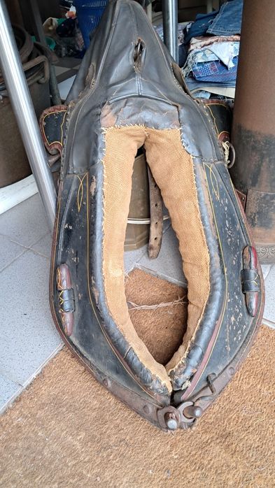 Colar de cavalo - jugo