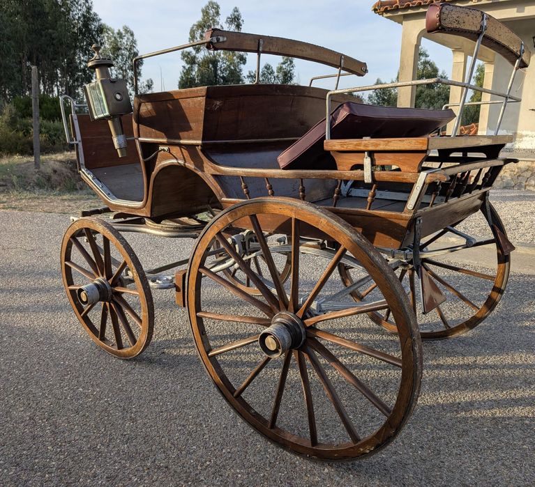 Charrete castanha para cavalos e burros – pronta para aventuras!