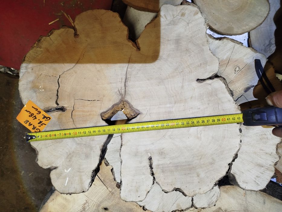 Plastry z drewna (Grab,Cis,Śliwa Węgierka, Czereśnia,Jesion,Buk,Brzoza