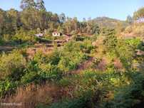 Quinta Idílica c/ 1,5 Hectares em S. João da Serra, Oliveira de Frades