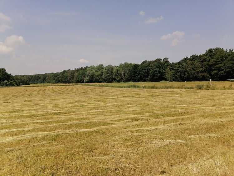 Działka siedliskowa pod zabudowę jednorodzinną