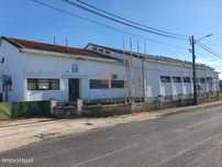 Armazém com 1.000 m2 em terreno urbano | Alcanhões, Santarém