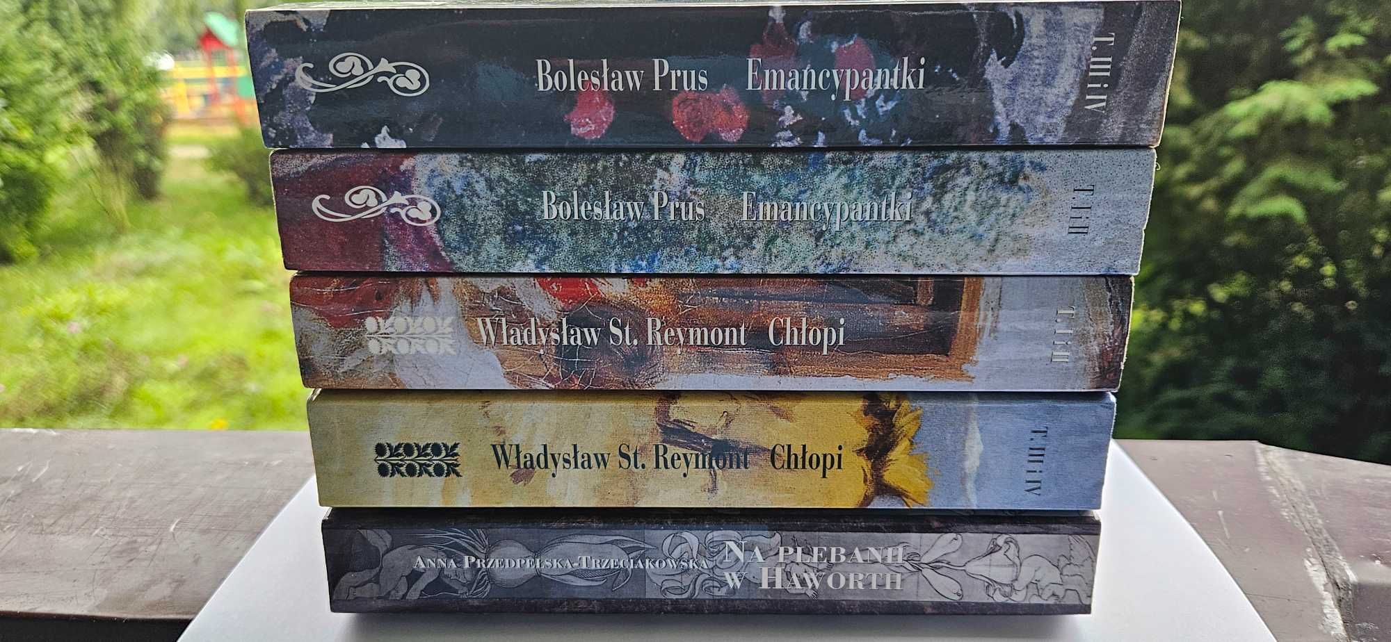 Literarura piękna pakiet książek- Prószyński i S-ka