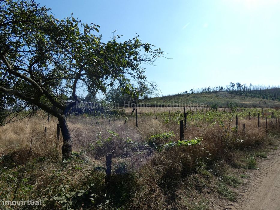 Quintinha  Venda em São Gião,Oliveira do Hospital