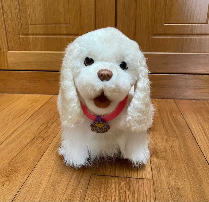 Cãozinho interativo