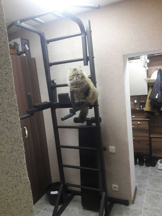 БЕЗКОШТОВНО доставка шведська стінка шведская стенка турник тренажер