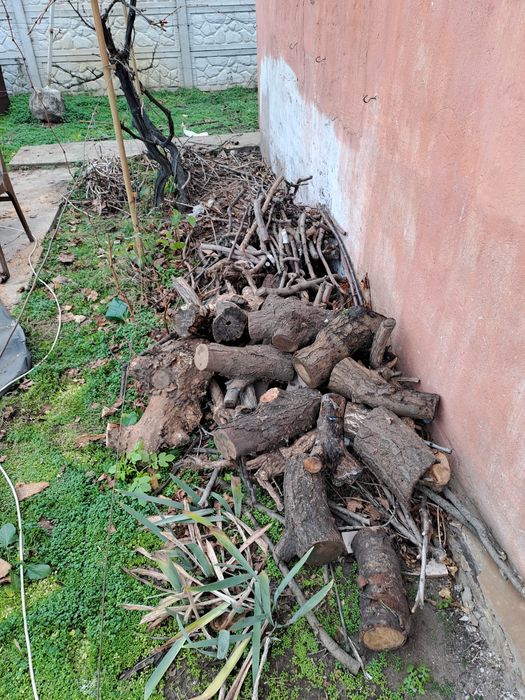Чурки ветки фруктовых деревьев на дрова