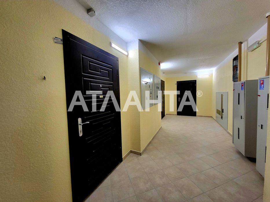 1-кімнатна квартира. Голосіївський.