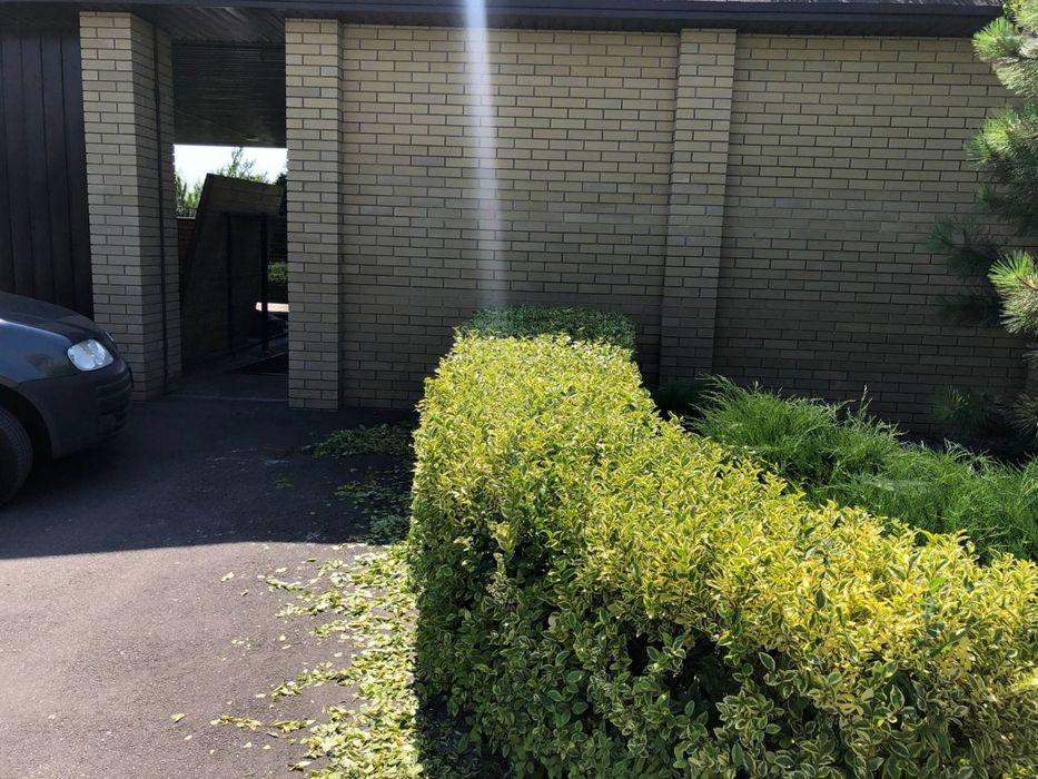 Садівник,Ландшафтний дизайн Севериновка