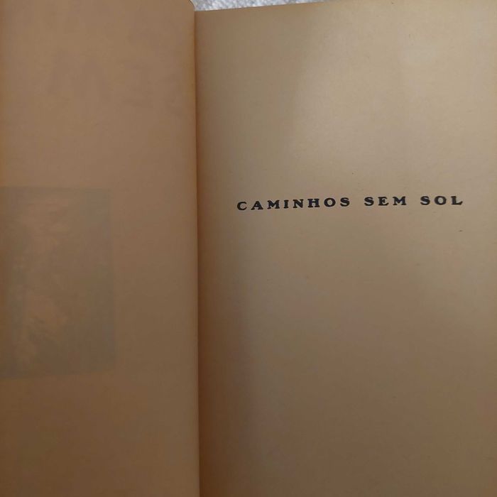 Caminhos sem sol e Viagem incompleta, de Mário Braga 30 euros os dois