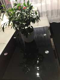 Czarny stół ze szkła hartowanego