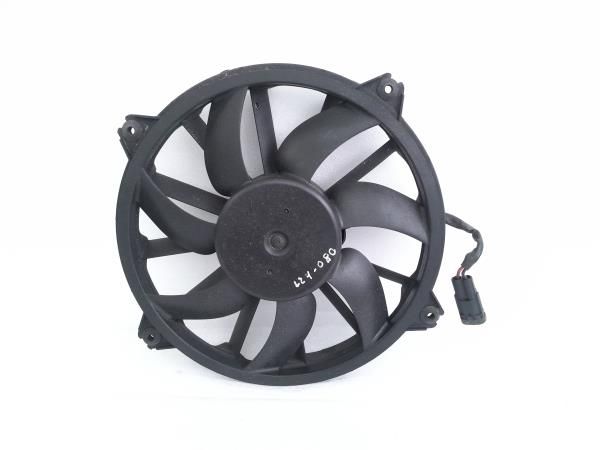 Termoventilador / motoventilador CITROËN DS4 (NX_)
