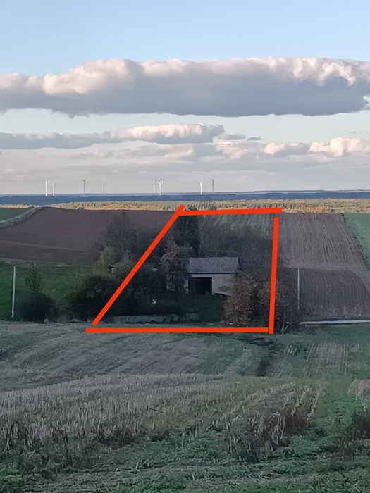 Działka, pole, rola, sąd, budynki gospodarcze