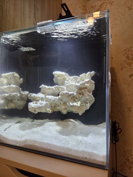 Морський акваріум 36×36×47 Optiwhite