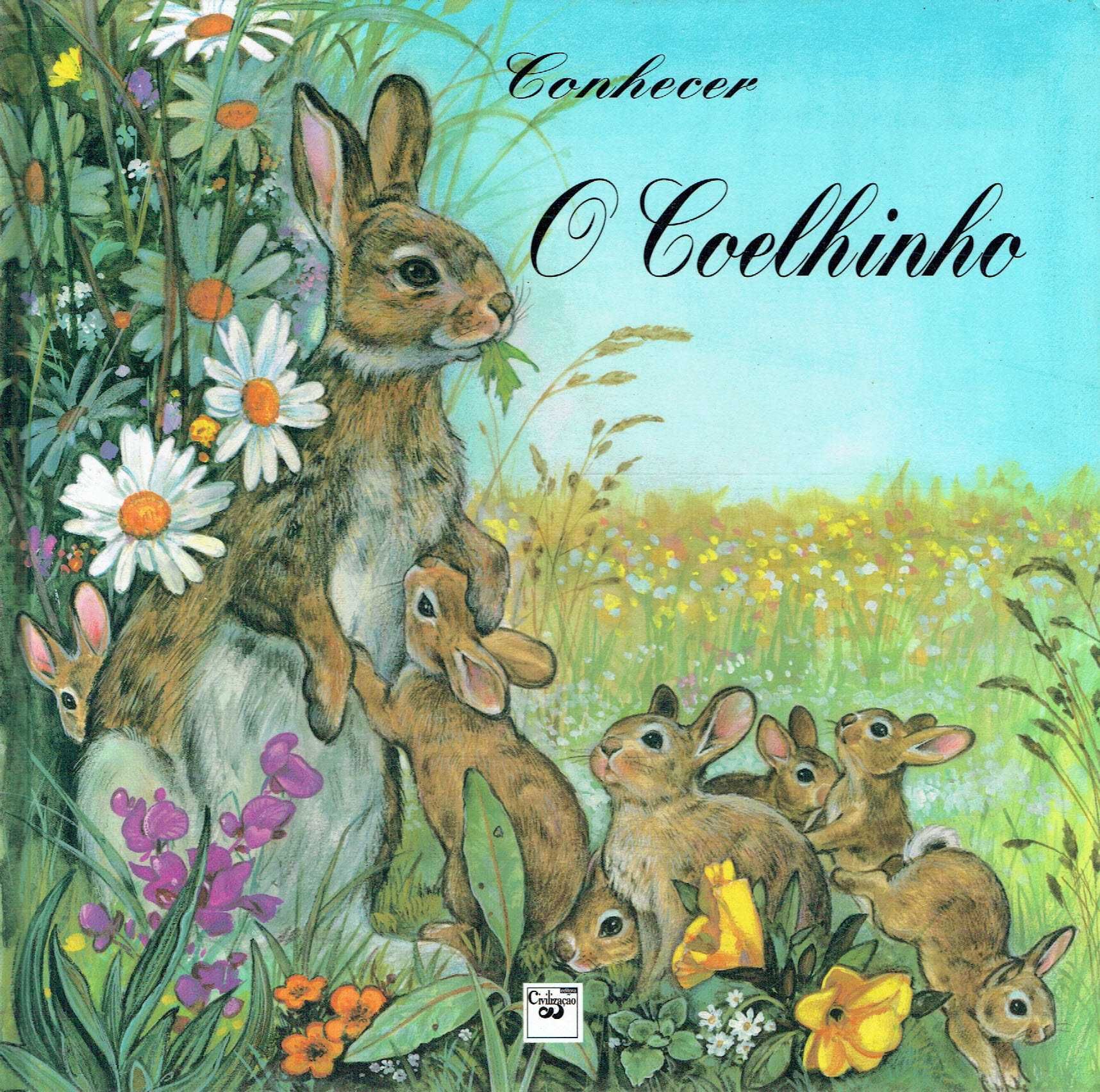 7898

Conhecer o Coelhinho

Civilização