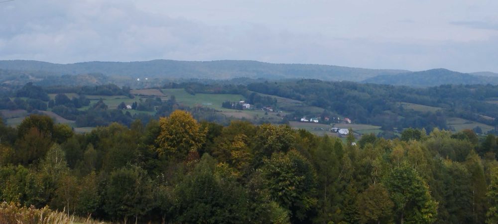 Sprzedam działkę widokową w Gogołowie
