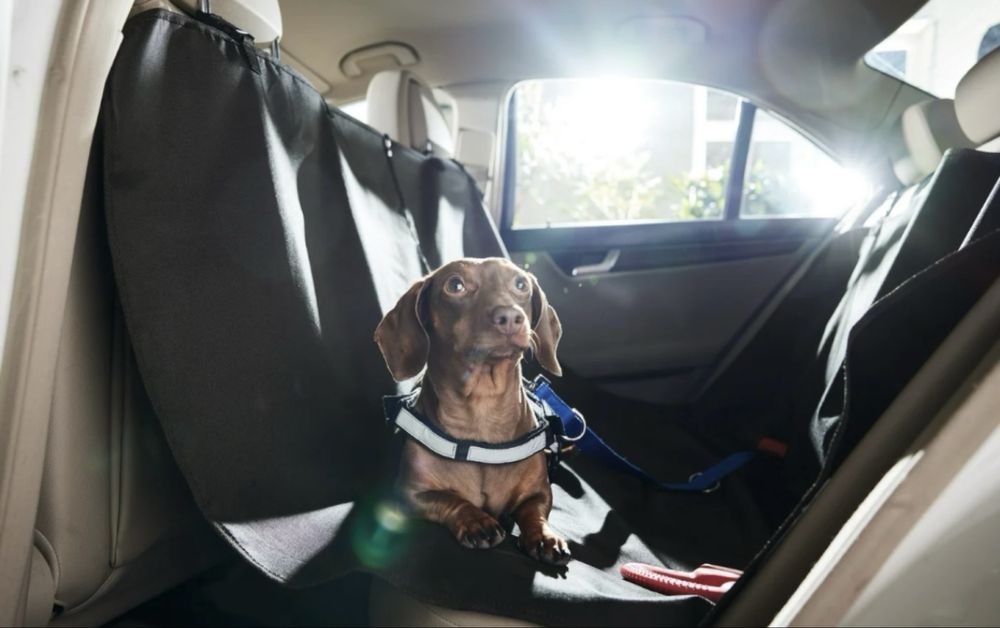 Pokrowiec mata ochronna dla psa 156x132