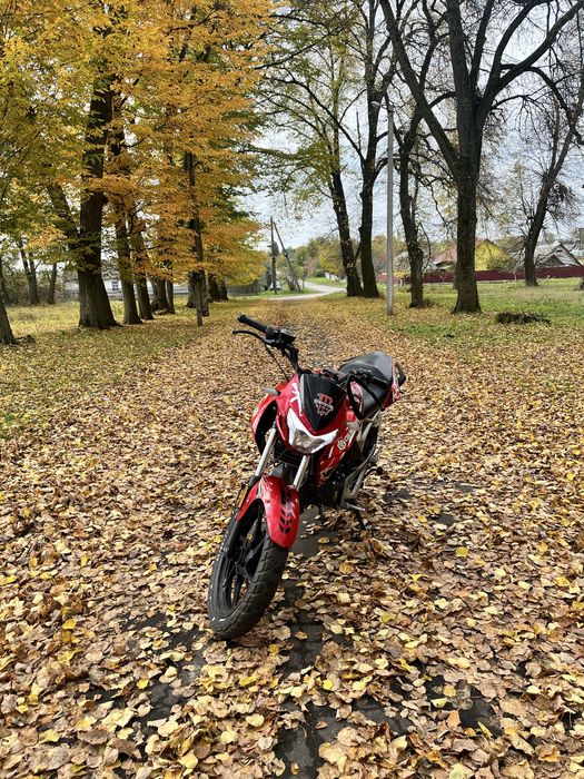 Продам geon pantera 250 срочно