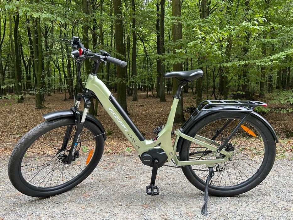 Rower Elektryczny Artemis Neo