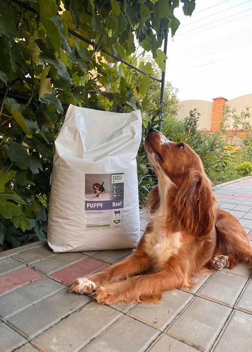 Преміум корма для ваших хвостиків від StarDeyl!