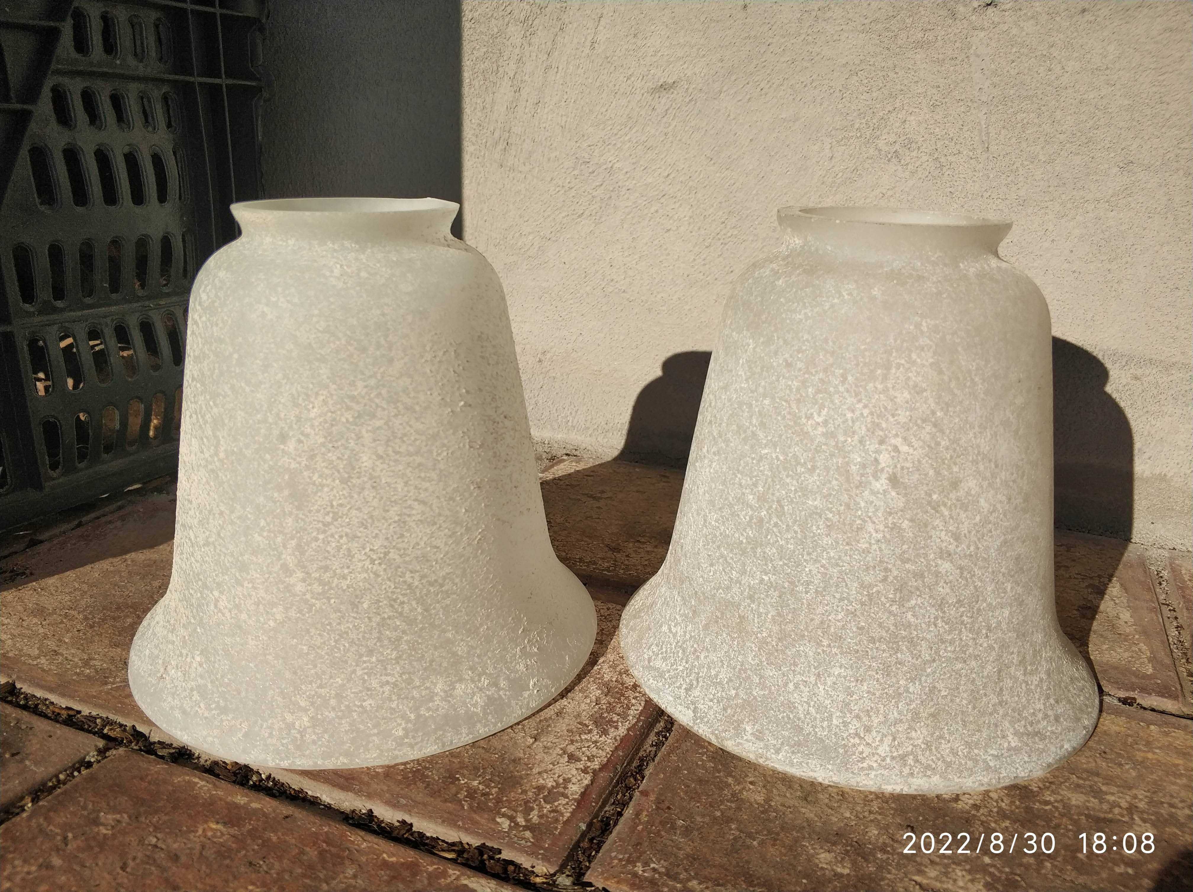 Várias Túlipas Novas