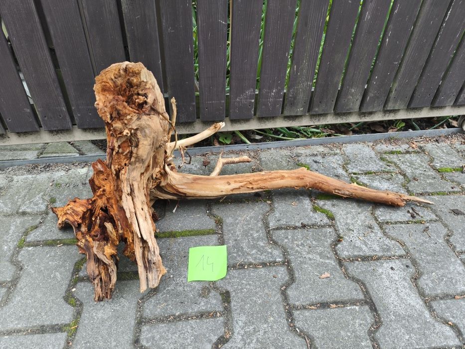 Korzeń nr 14 do akwarium
