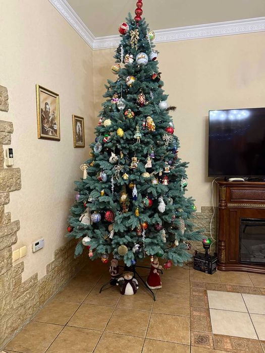 Ялинка лита елка ёлка ель Смерека "Буковельська" зелена Преміум-клас