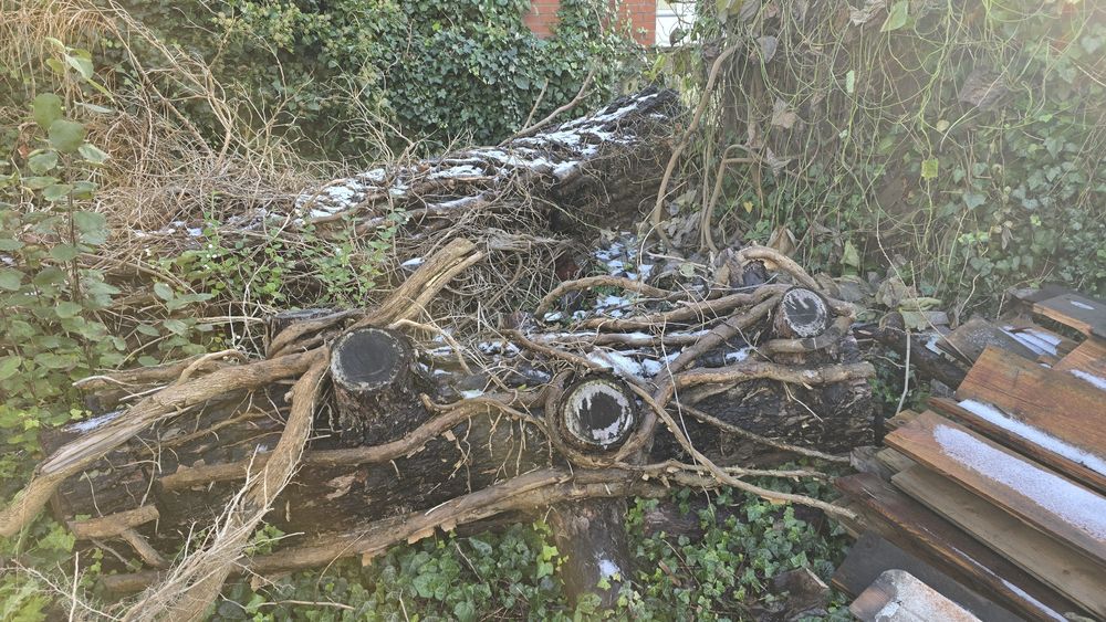 Oddam drzewo, deski.  Rezerwacja