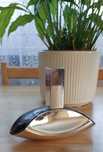 Euphoria Calvin Klein, flakon 100 ml