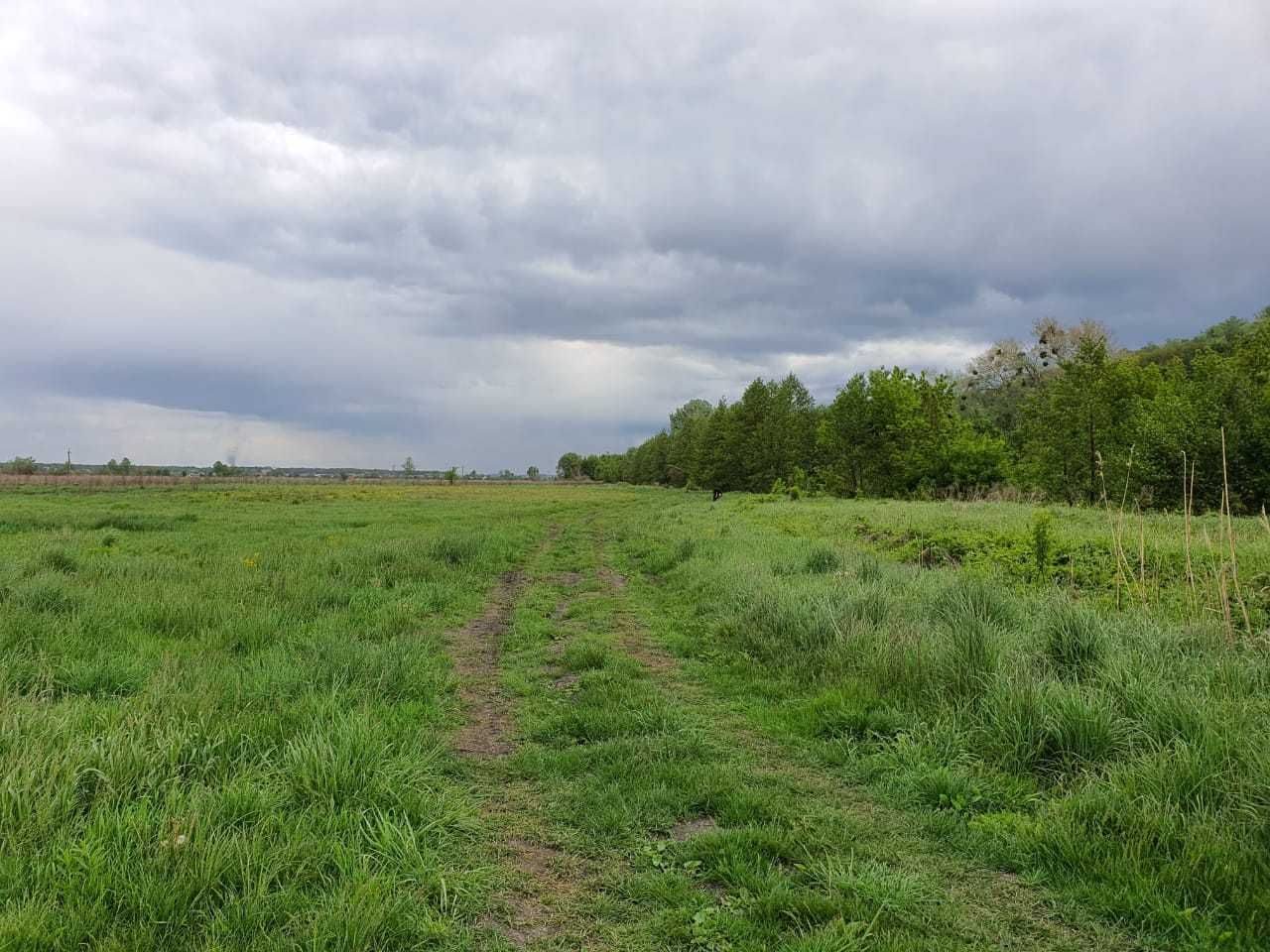 ділянка 10 соток Великі Дмитровичі Романков Підгірці Обухівський р-н