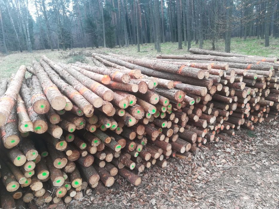 stemple budowlane 3m nowe proste drewniane solidne transport Żory Jast