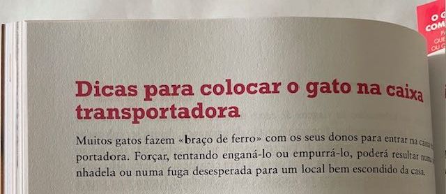 Livro COOL CAT  de Sónia Miranda e Inês Fonseca