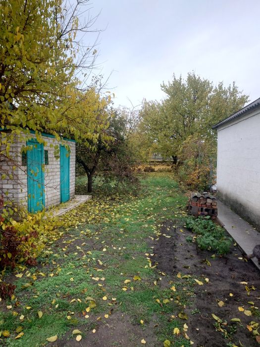 Продам дом в с.Аполлоновка Днепропетровской обл.