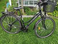 Rower Kross trans 1.0