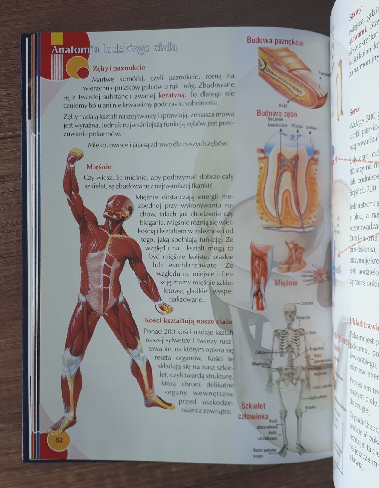 10 000 faktów encyklopedia