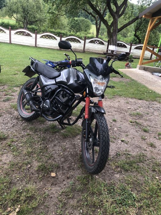 Мустанг фості в хорошому стані