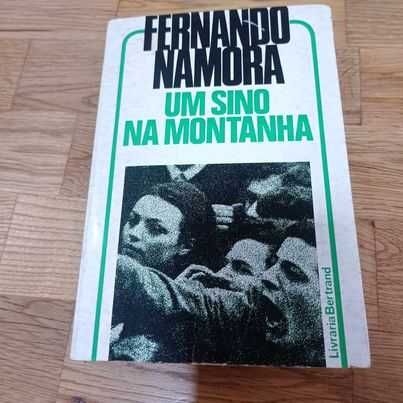 vendo livro um sino na montanha