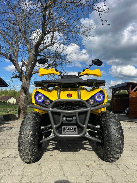 Diabolini Sharmax XXL