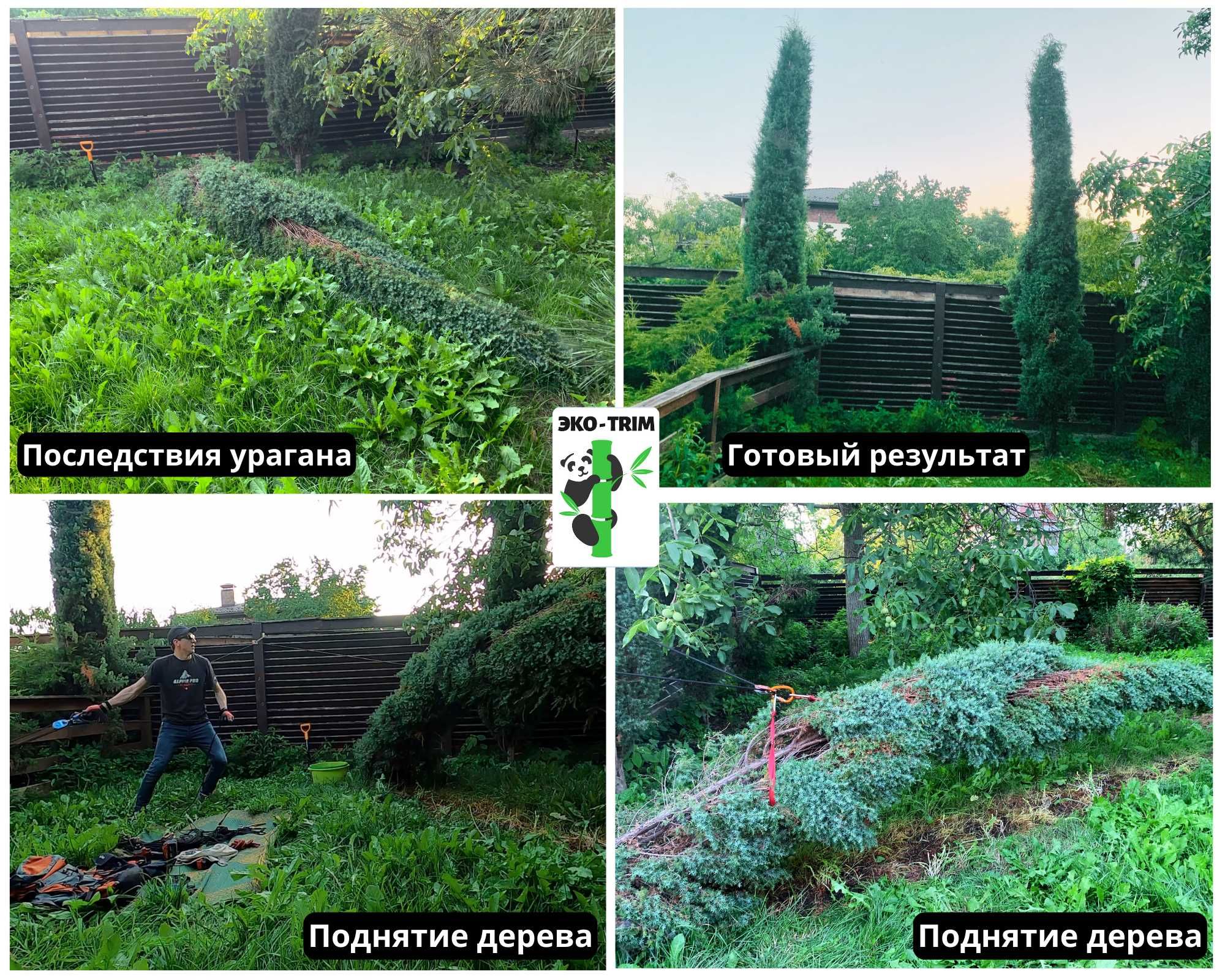 Обрезка деревьев | Прирезка сада | Кронирование | Арбористика