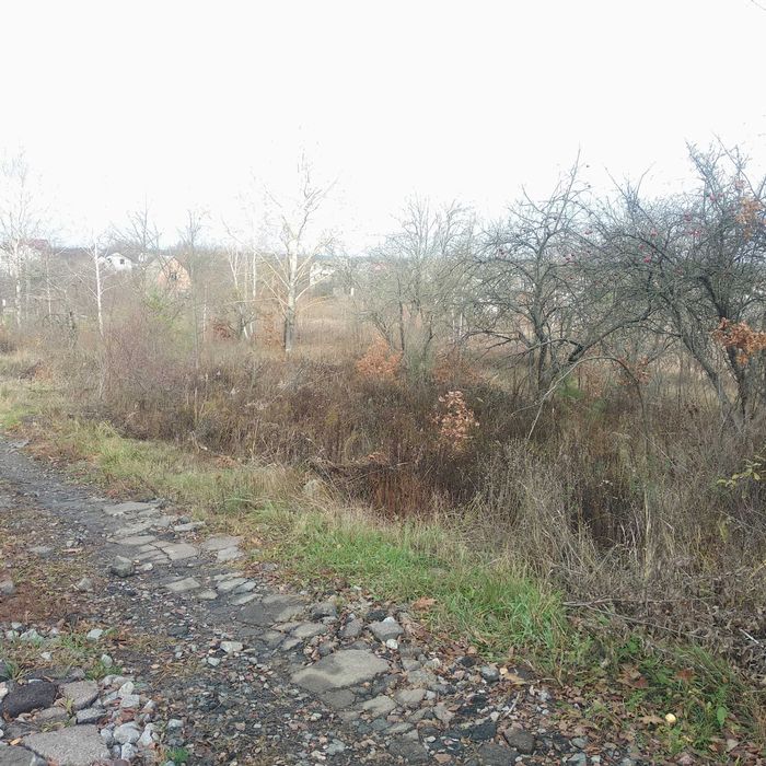 Продам участок 9 соток в дачному кооперативі ДІброва